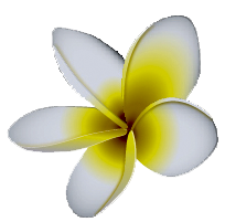 Orchidee